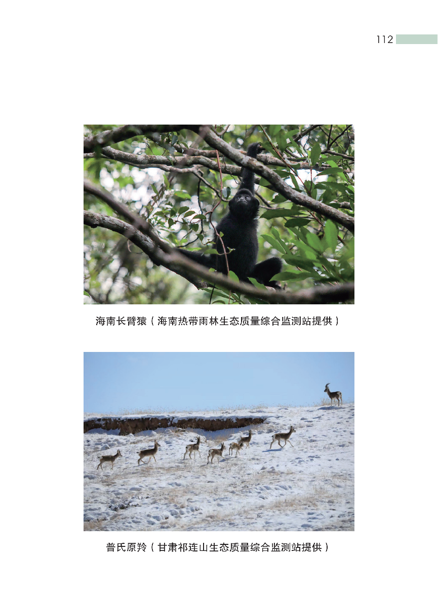 这种“环保餐盒”装的外卖和奶茶,对人体危害更凶险!(图18) 这种“环保餐盒”装的外卖和奶茶,对人体危害更凶险!(图18)