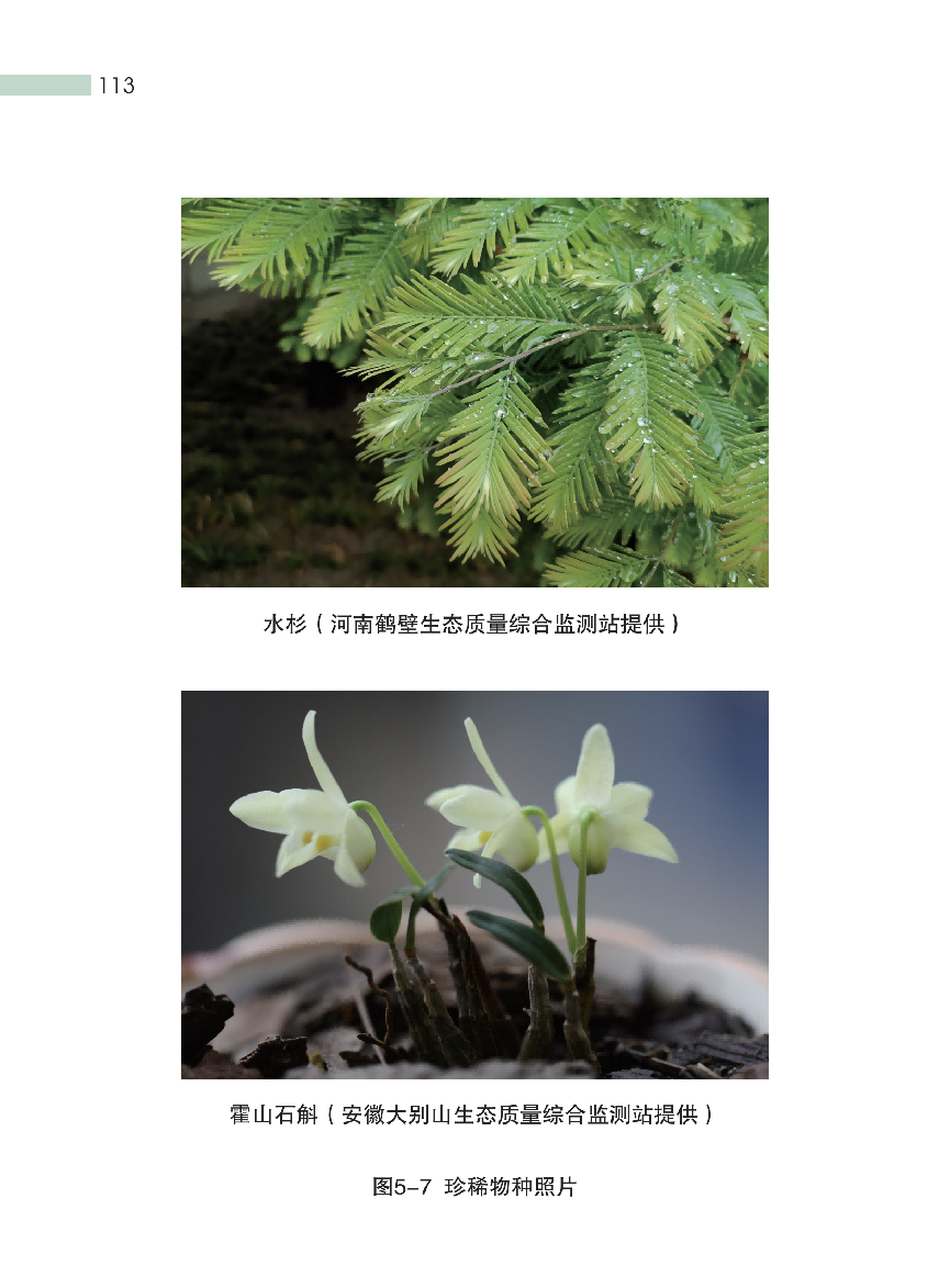 这种“环保餐盒”装的外卖和奶茶,对人体危害更凶险!(图19) 这种“环保餐盒”装的外卖和奶茶,对人体危害更凶险!(图19)