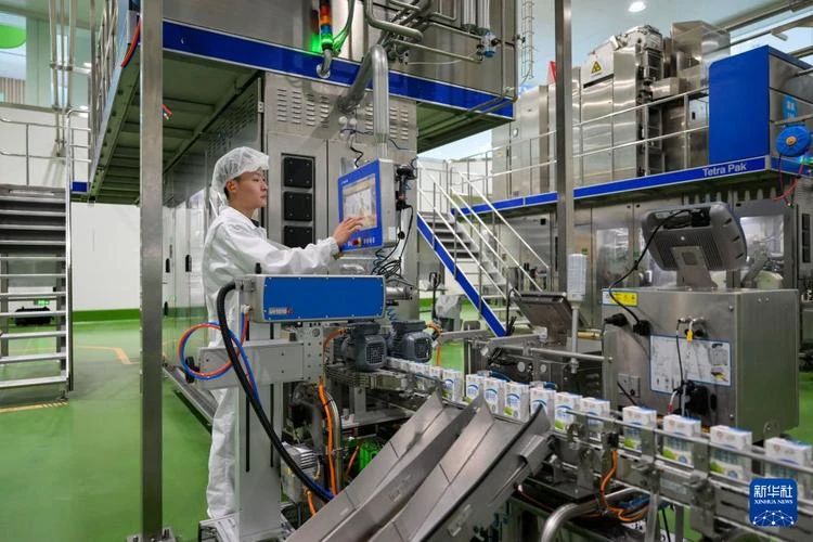 北疆牧歌新奏 奶业“犇”向未来——内蒙古奶业质量强链建设纪实(图2) 北疆牧歌新奏 奶业“犇”向未来——内蒙古奶业质量强链建设纪实(图2)