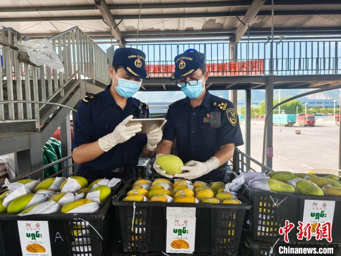 十六条新措施助力创新药加速跑（政策解读）(图5)